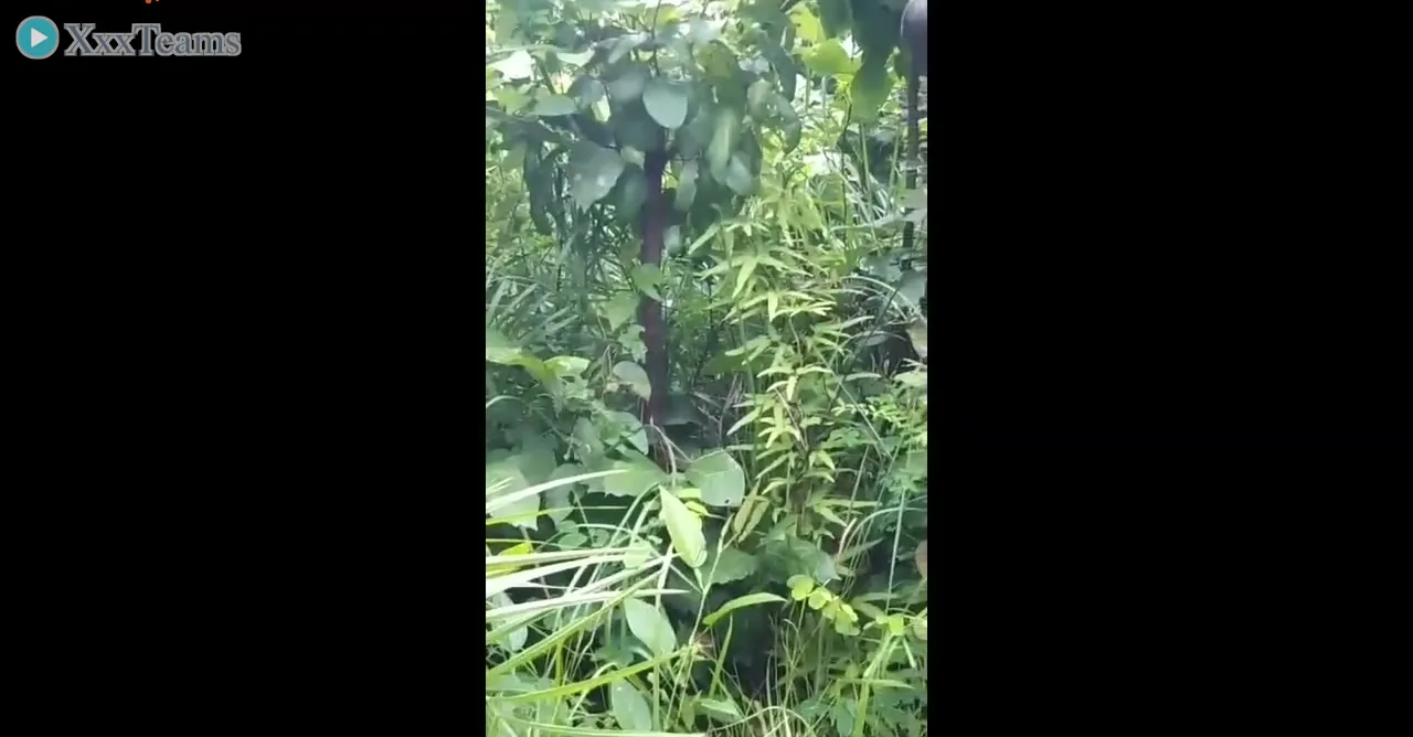 Odia Jungle Sex – scene 2