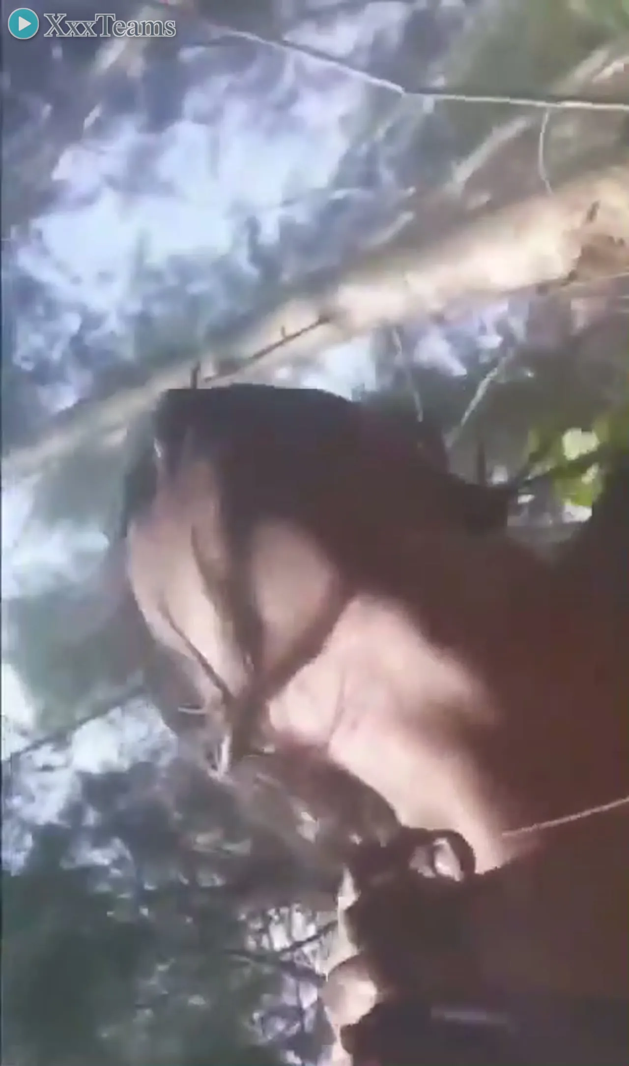 Kerala Village Girlfriend Jungle Doggystyle – scene 1