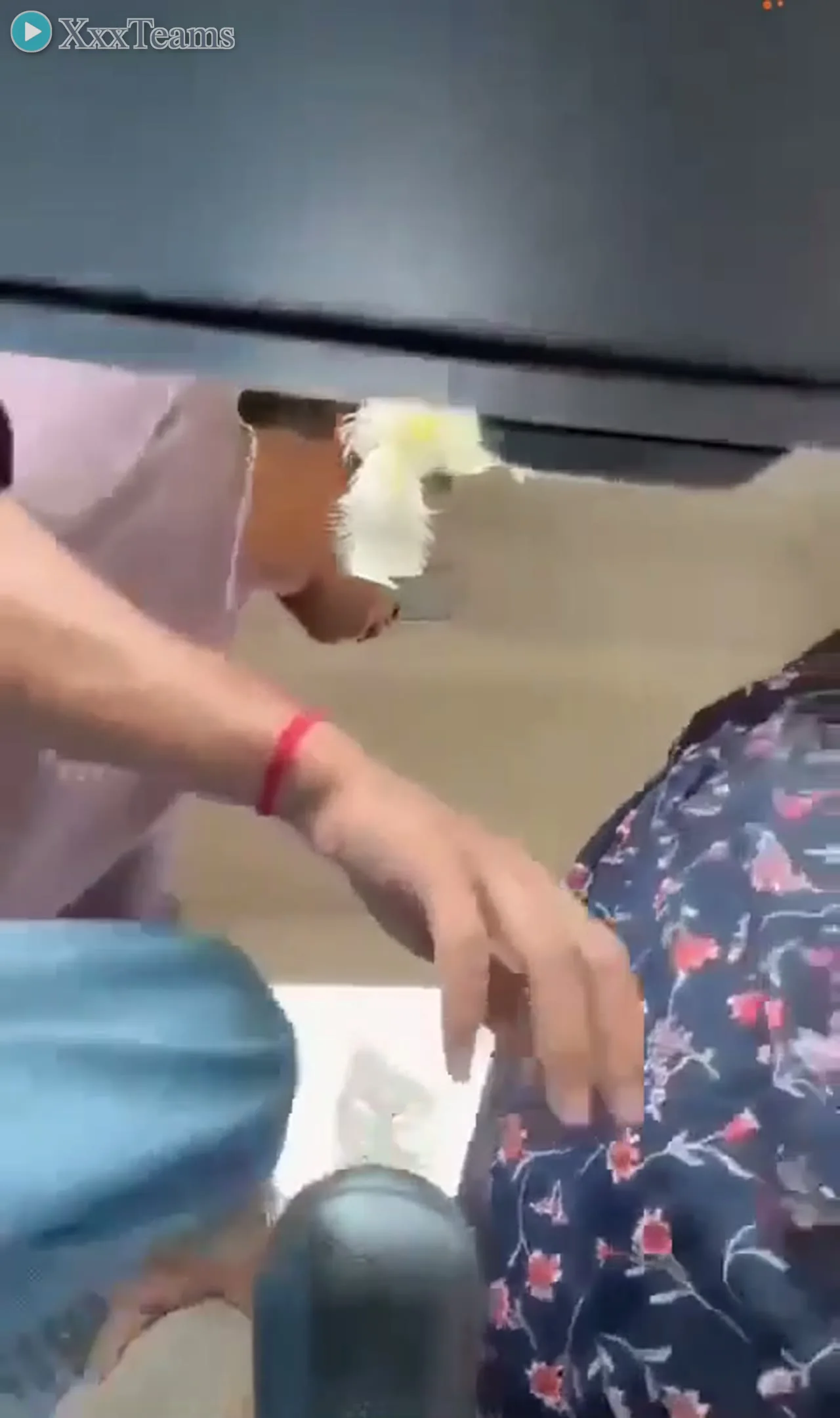 Desi Girlfriend Anal in Car – scene 1