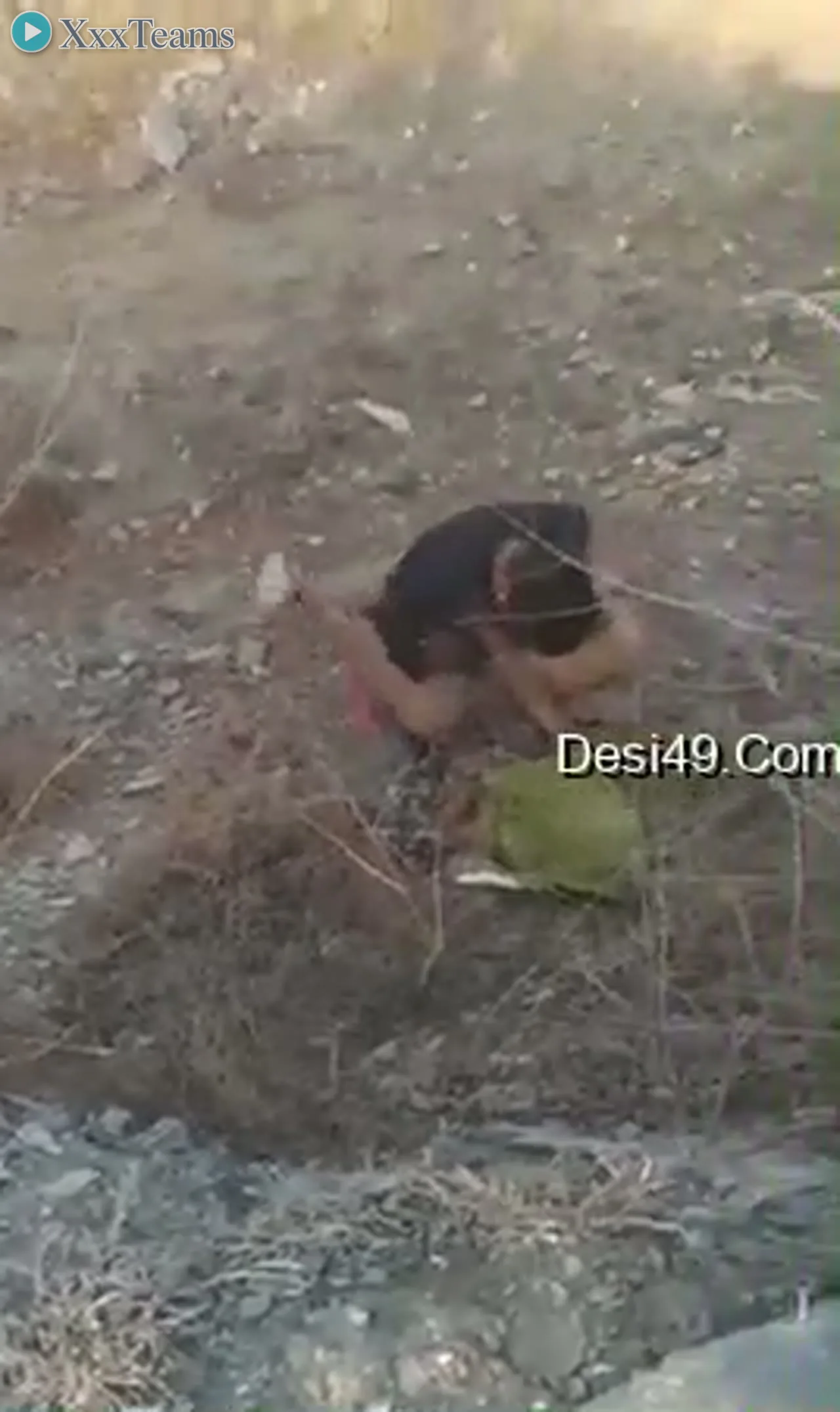 Dehati Bhabhi Outdoor Hardcore – scene 2